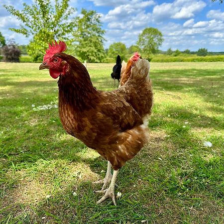 Charming Hen Cottage Countryside Retreat Lincoln Newball Exteriör bild