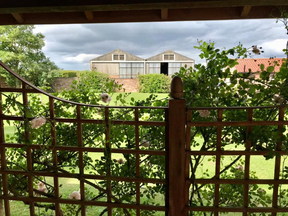 Charming Hen Cottage Countryside Retreat Lincoln Newball Exteriör bild
