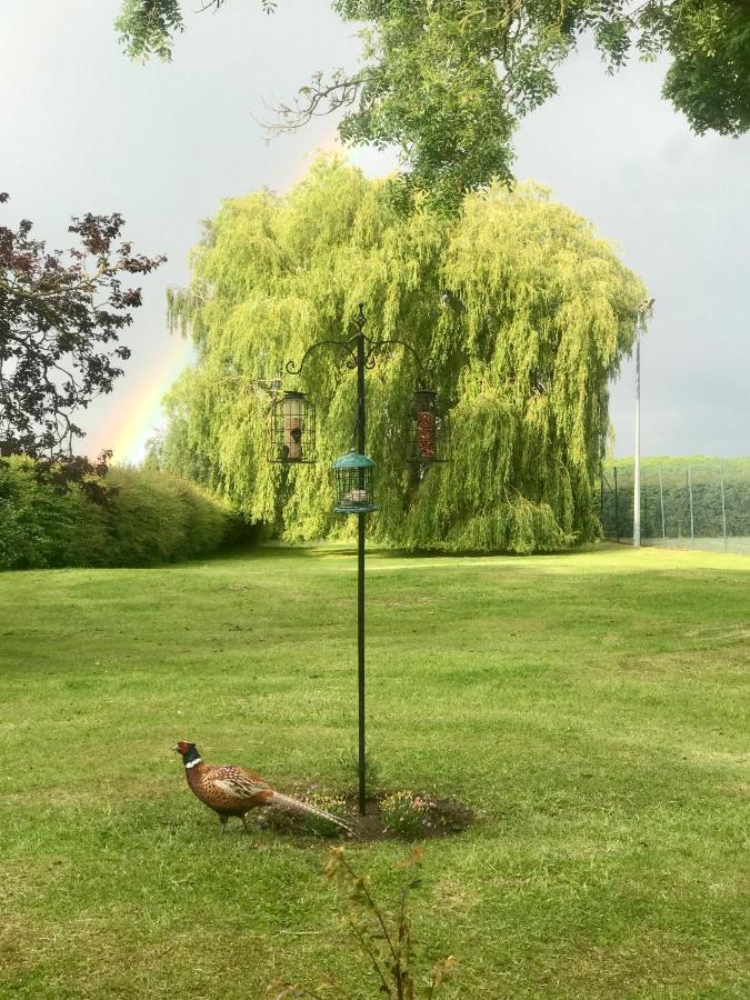 Charming Hen Cottage Countryside Retreat Lincoln Newball Exteriör bild
