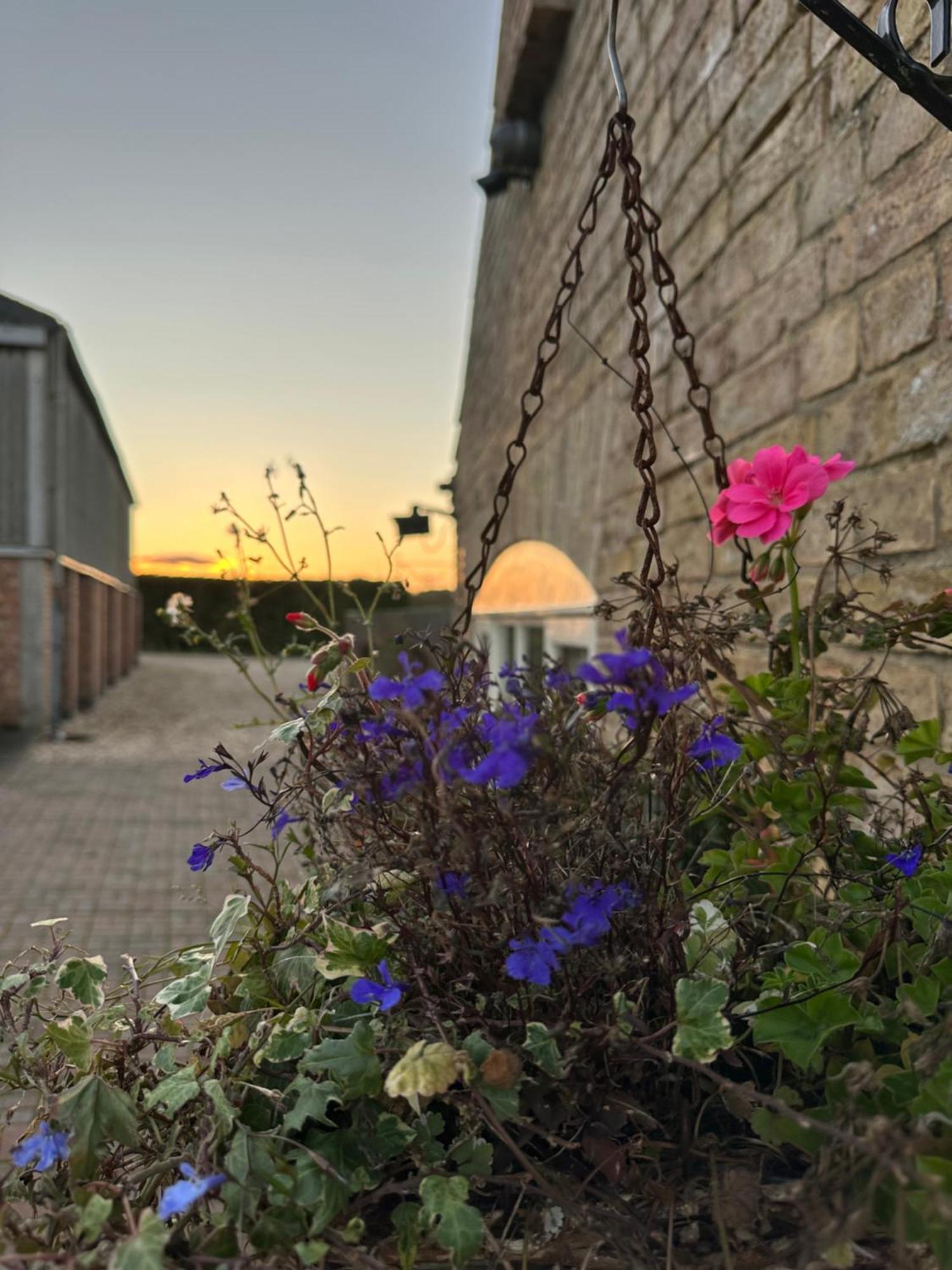 Charming Hen Cottage Countryside Retreat Lincoln Newball Exteriör bild